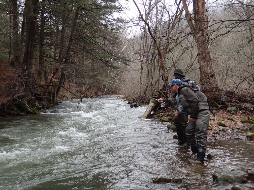 Euro Nymphing in Ontario