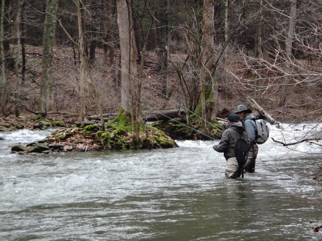 Learn to fly fishing in Ontario