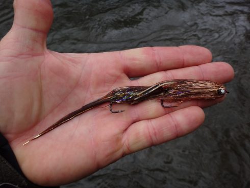 Streamer fishing in Ontario