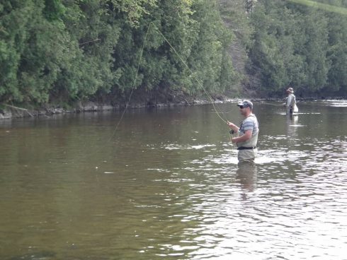 Fly Fishing for brown trout on Ontario