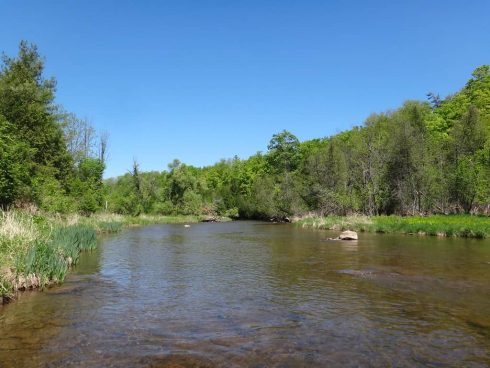 Fishing The Saugeen River - A Perfect Drift