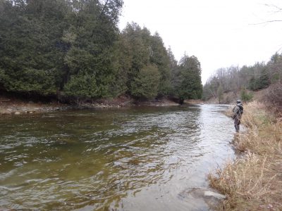 The Bighead River is one of Ontario's best trout and steelhead rivers