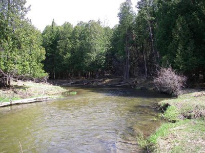 The Pine River is one of Ontario's best trout and steelhead rivers