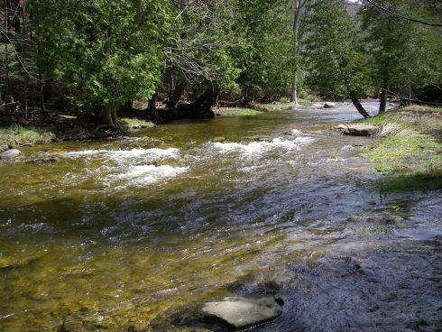 Fishing the Boyne River