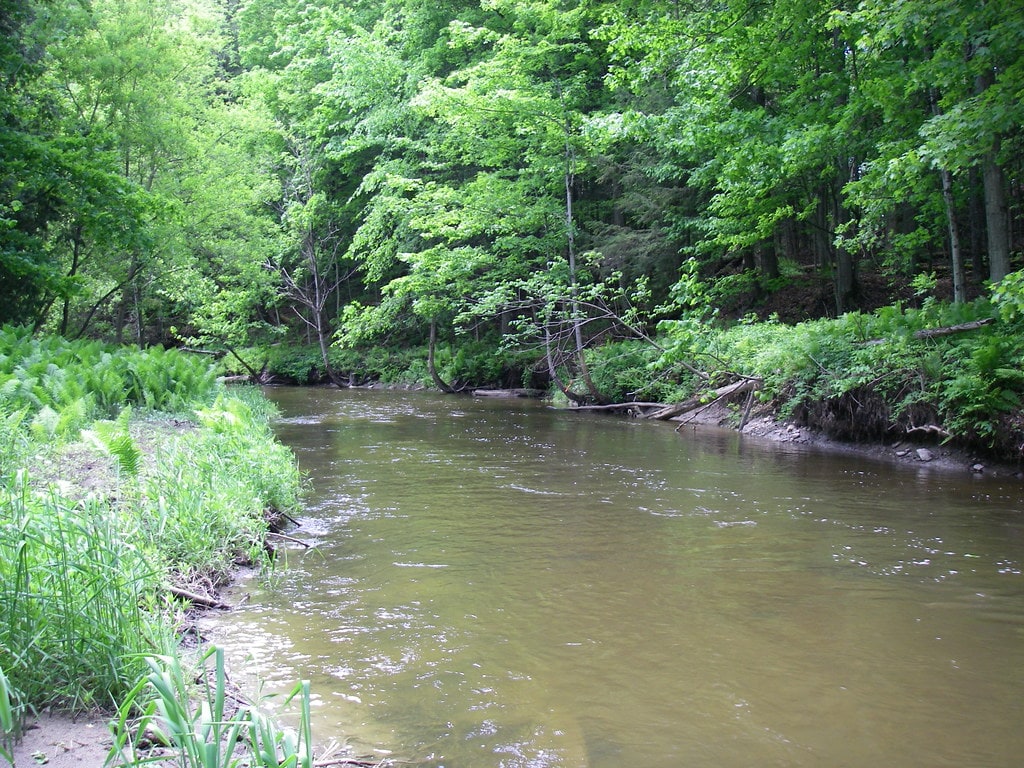 The upper Humber river trout section