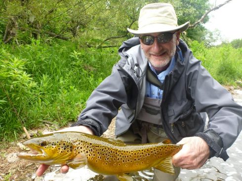 Brown Trout River Fishing