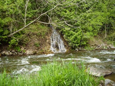 Ontario Brook Trout Rivers