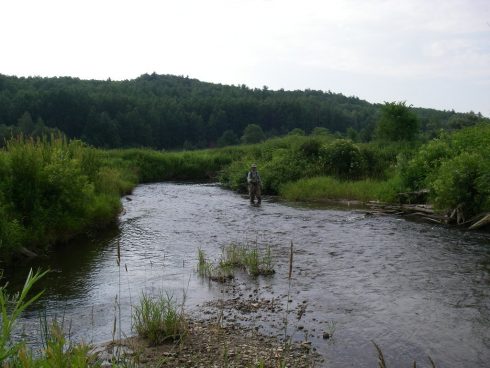 Fishing the Pine River