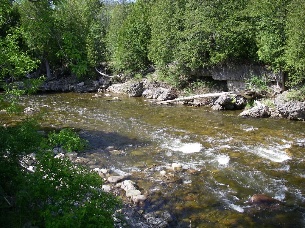 Ontario Brown Trout Rivers