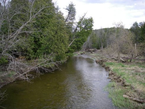 Fishing the Boyne River