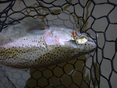 Best methods for catching steelhead