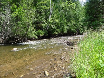 The Credit River is one of Ontario's best trout and steelhead rivers