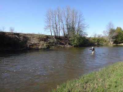 Spey Fishing For Ontario Steelhead