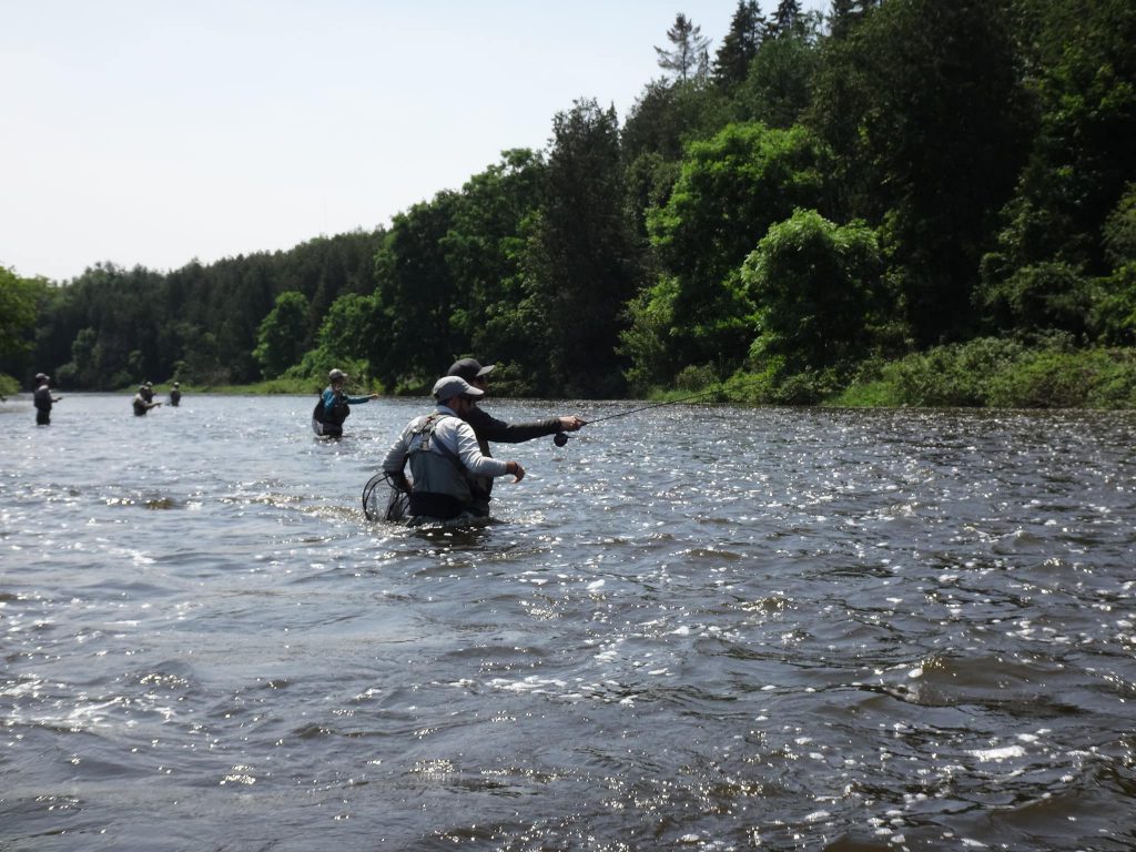 Ontario Fly Fishing Guides - A Perfect Drift