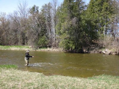 Fly Fishing for Ontario steelhead