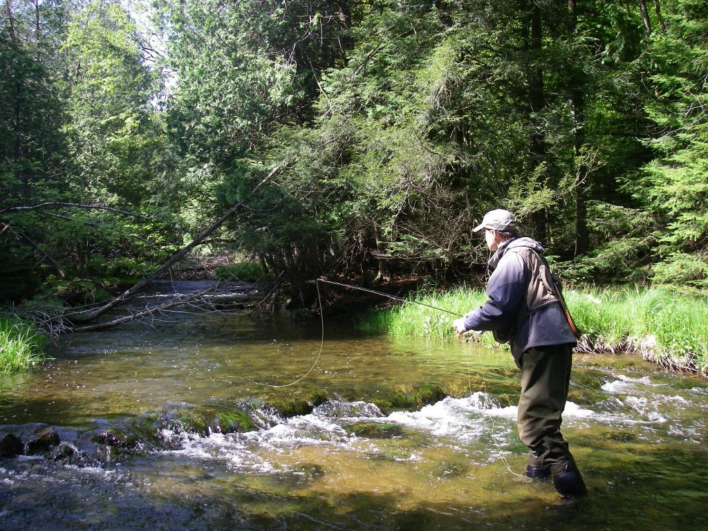 Fly Fishing A Small Ontario Creek