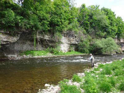 Advanced fly fishing lessons