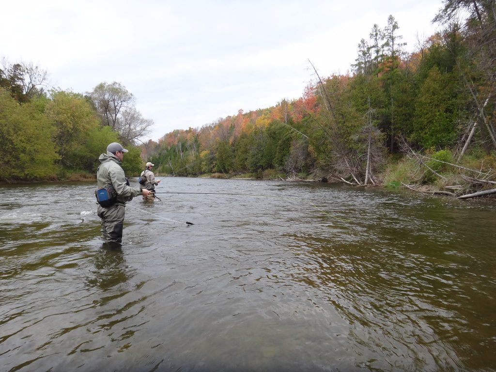 Fly Fishing For Ontario Steelhead - A Perfect Drift