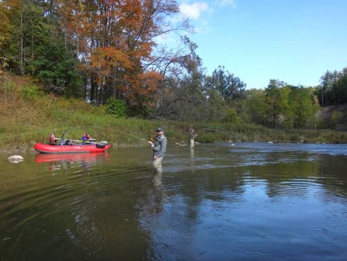 Fly Fishing for Ontario salmon