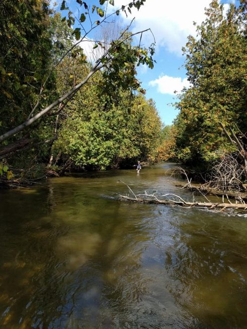 Streamer fishing in tight cover