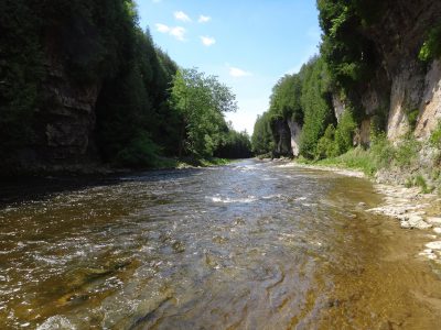 The upper grand river is one of Ontario's best trout and steelhead rivers