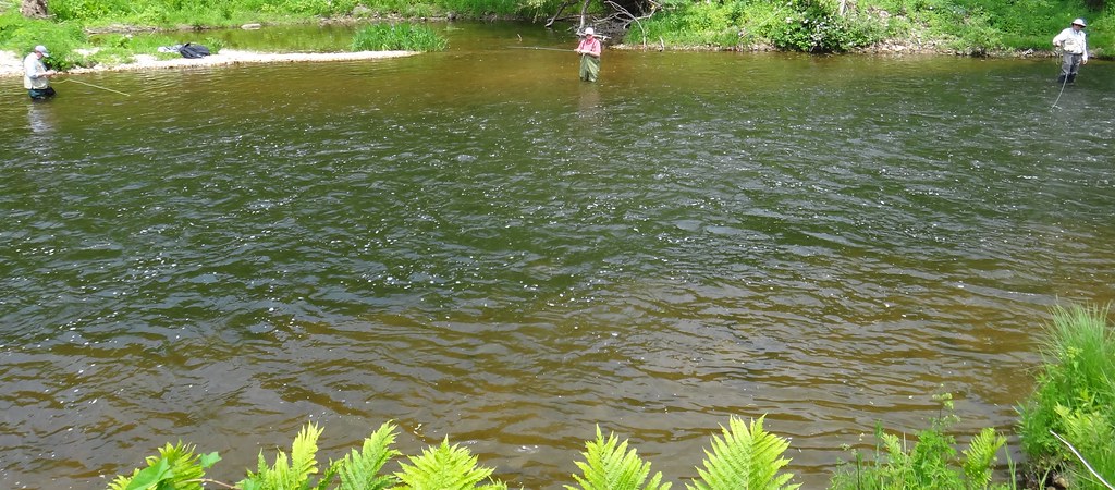 Streamer Fishing Tactics for Ontario Trout