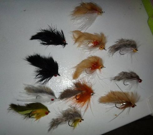 Streamer Flies for Ontario Trout
