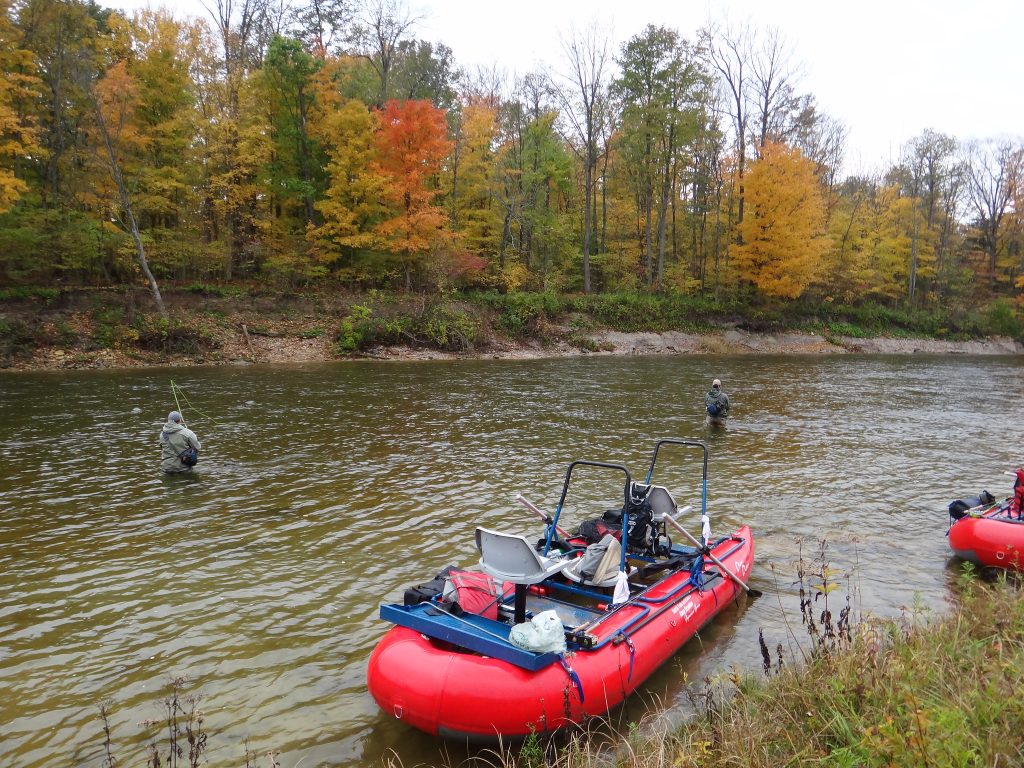 An Ontario Steelhead river called the Saugeen River