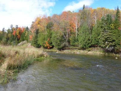 Fall steelhead Fishing