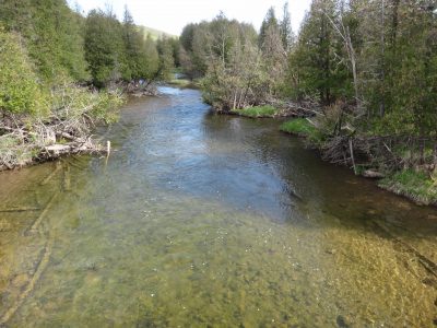 The Beaver river is one of Ontario's best trout and steelhead rivers