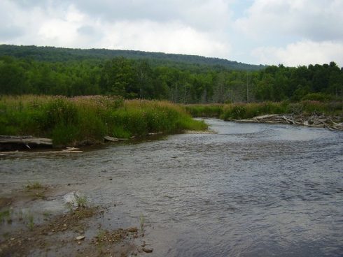 The Beaver river in Ontario
