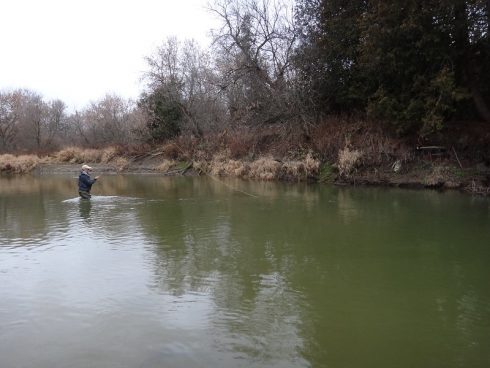 Float Fishing - Fishing the Flat Float on Deep and Flowing Rivers