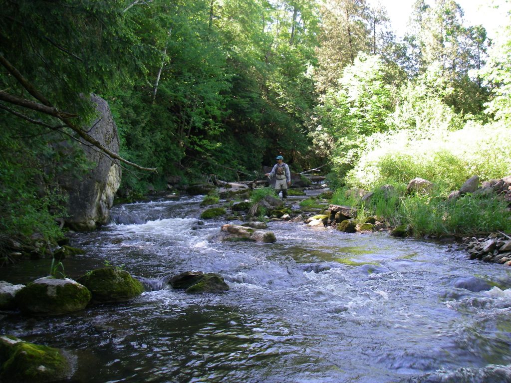 Fishing the Sydenham River