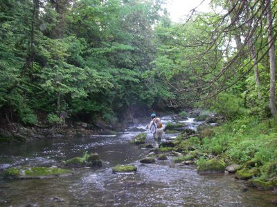 The Sydenham River is one of Ontario's best trout and steelhead rivers