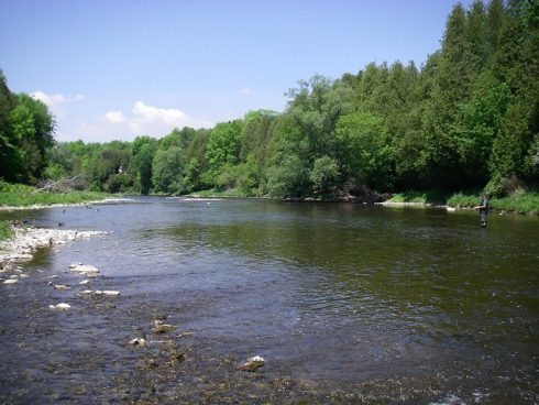 The Grand river trout section