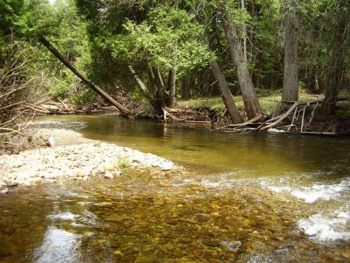 Fishing the Nottawasaga River