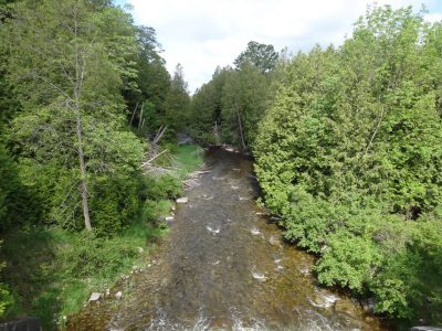 The Beatty Saugeen River is one of Ontario's best trout and steelhead rivers