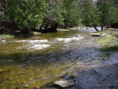 The Boyne River is one of Ontario's best trout and steelhead rivers