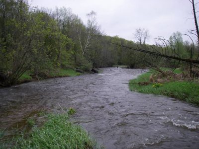 The Mad River is one of Ontario's best trout and steelhead rivers