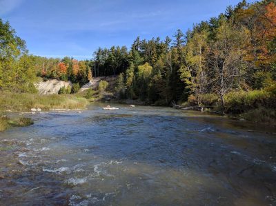 Fishing the Nottawasaga River - A Perfect Drift