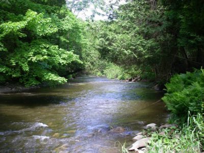 The Humber River is one of Ontario's best trout and steelhead rivers