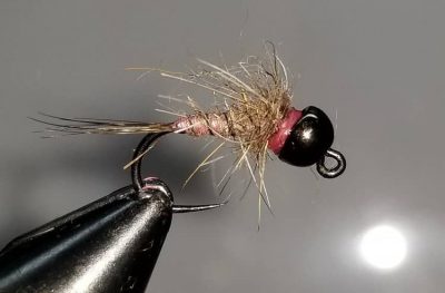 Best Ontario trout flies used by Ontario's top river guide