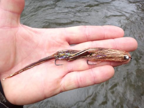 Brown Trout Fishing In Ontario