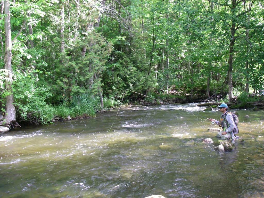 Euro Nymphing In Ontario