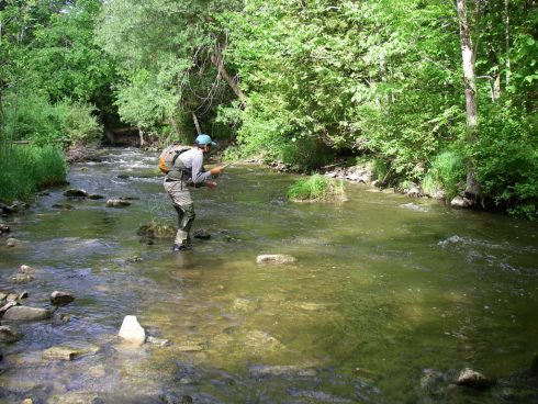 Ontario Brown Trout Fishing