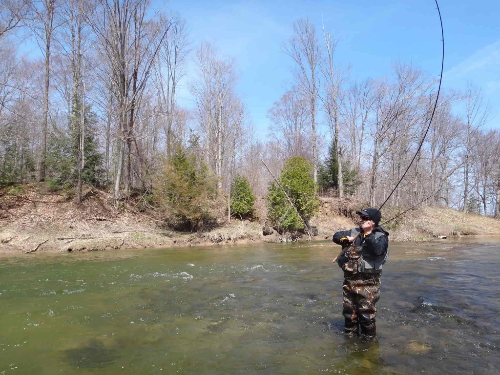 Best Steelhead Rods
