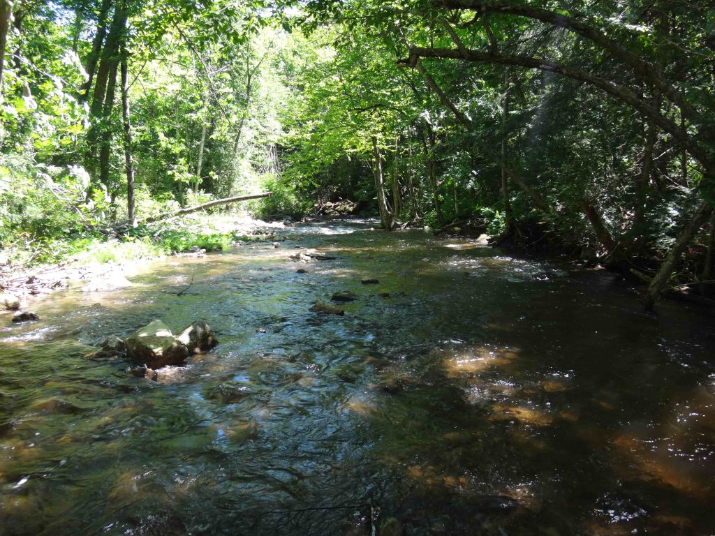 Fishing the Humber river