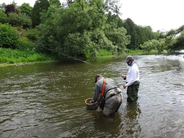 Ontario Fly Fishing Guides A Perfect Drift