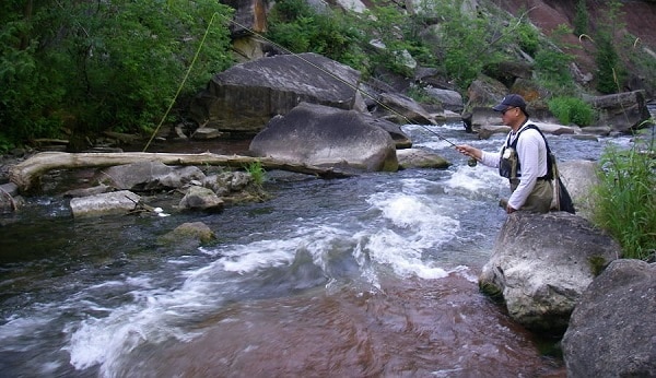 Ontario fly Fishing Lessons