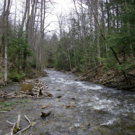 The best rivers in Ontario The best rivers in Ontario